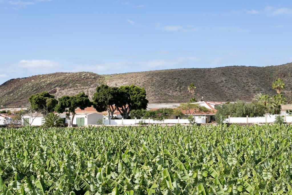 Caserio De Guaza Palm-mar Εξωτερικό φωτογραφία