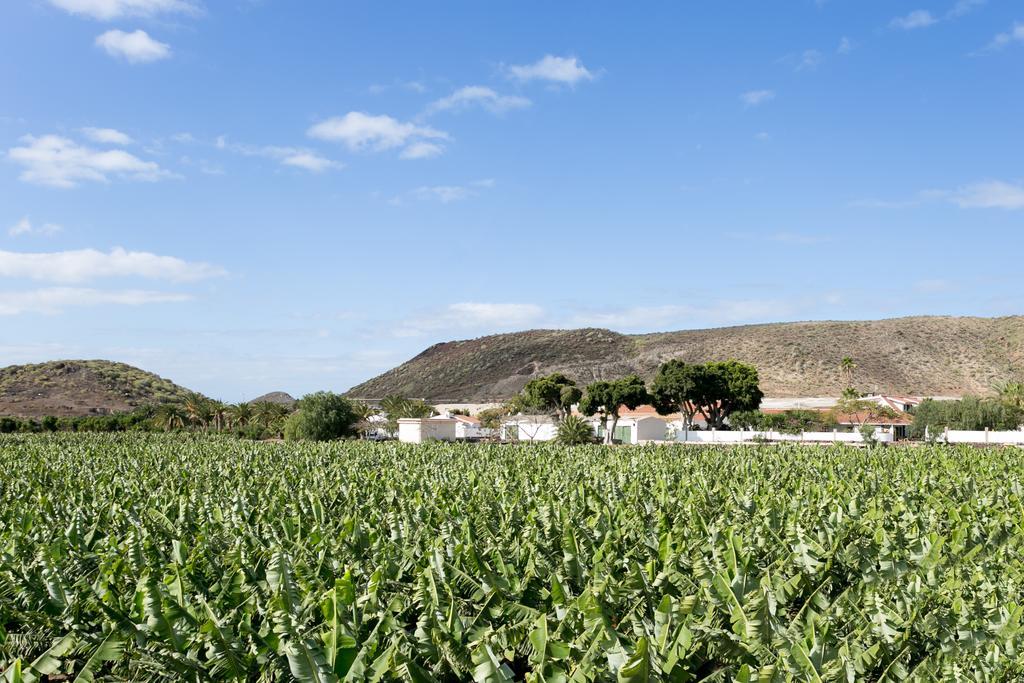 Caserio De Guaza Palm-mar Εξωτερικό φωτογραφία